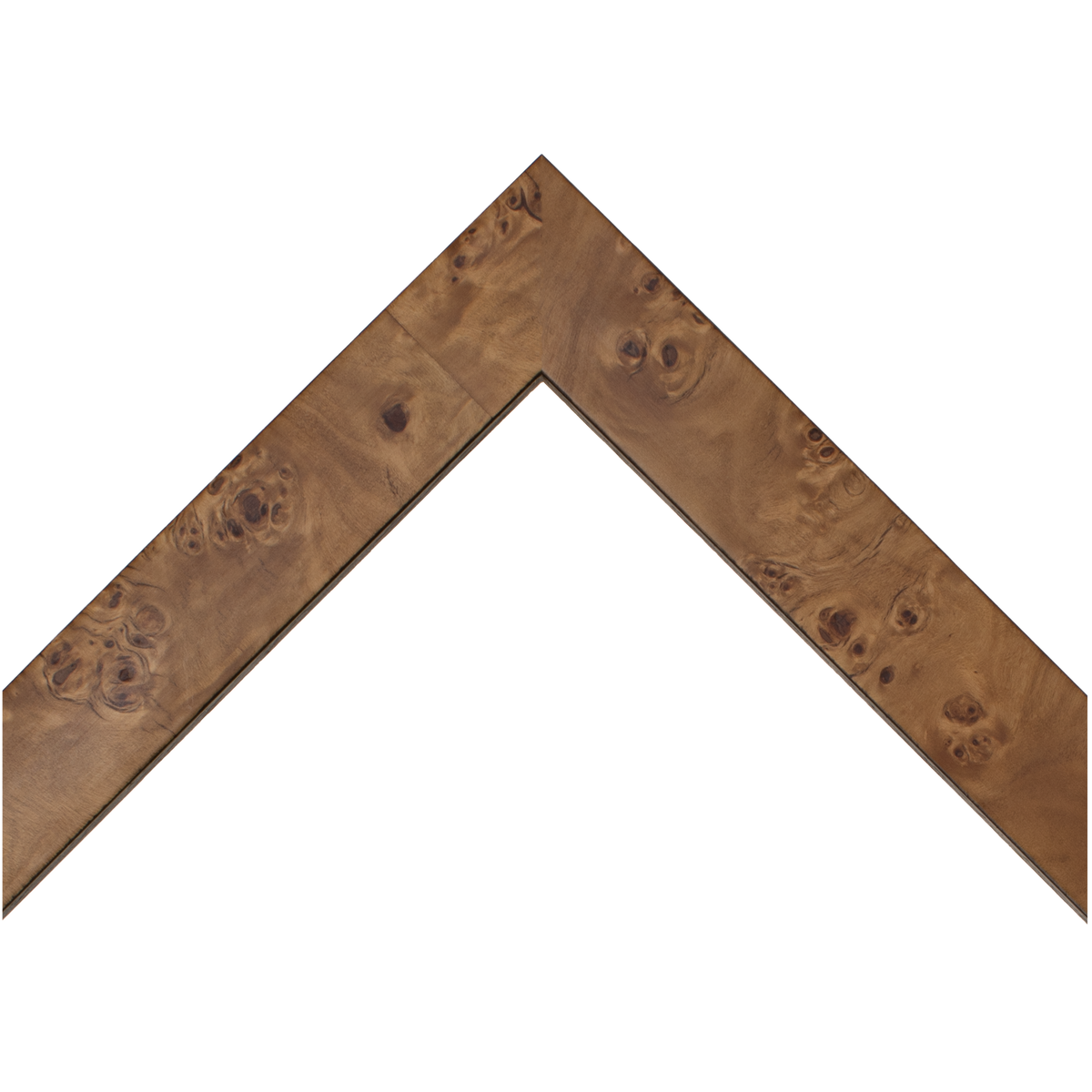 Poplar Burl Frame
