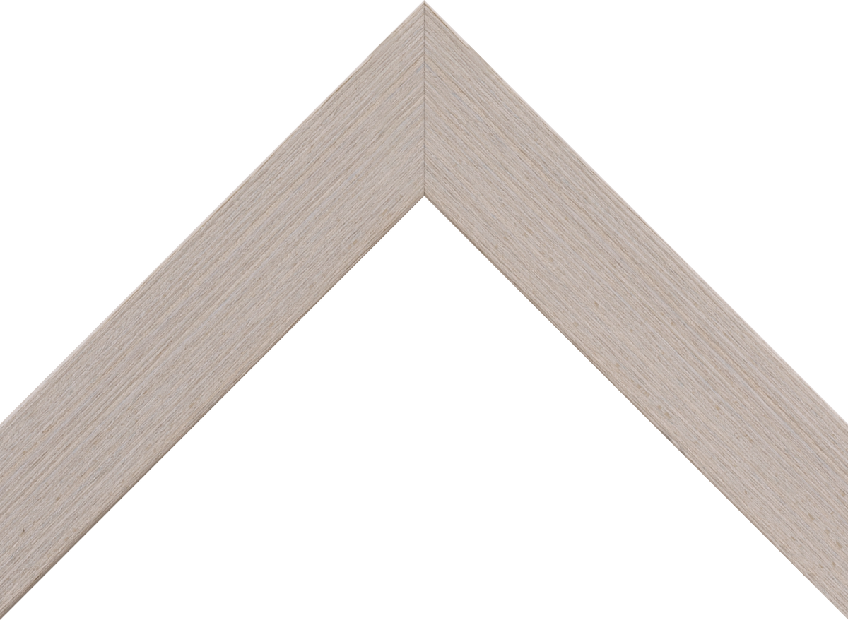 Light Gray Gallery Frame