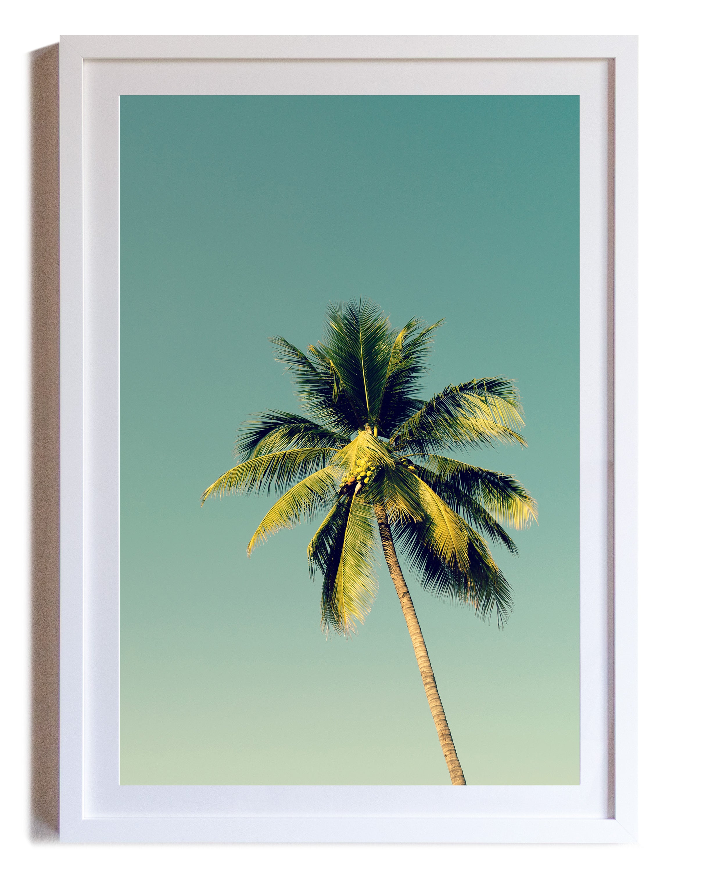White Gallery Frame