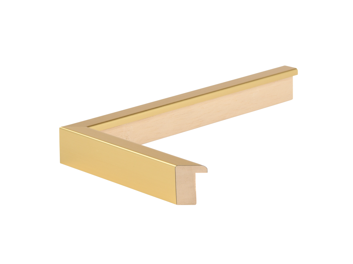 Gold Gallery Frame