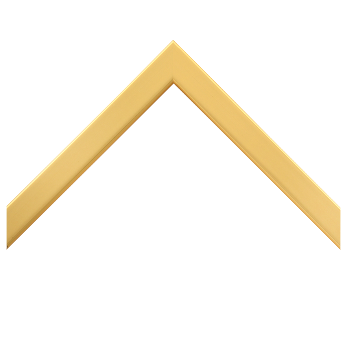 Gold Gallery Frame