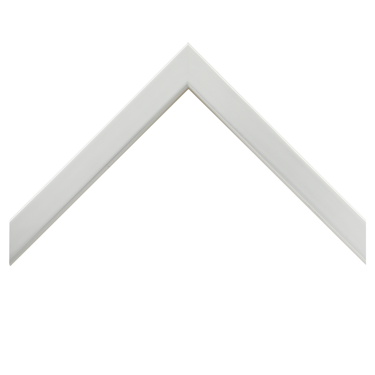 Silver Gallery Frame